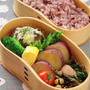 今週のお弁当
