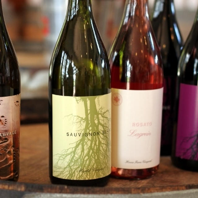 Winery Tour in Long Island 1