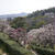 中山寺梅林