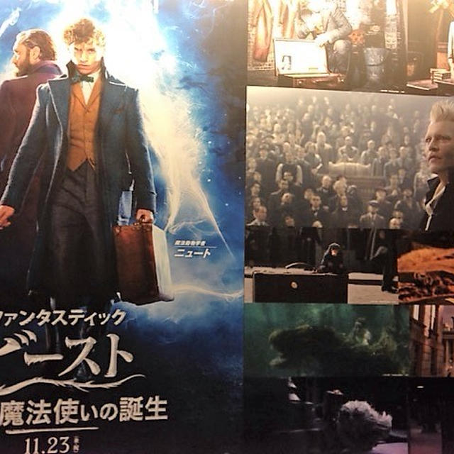 ファンタスティックビーストと黒い魔法使いの誕生　見ました。