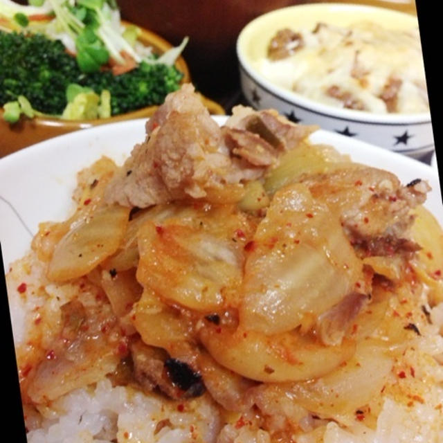 ☆豚キムチ丼！と　花鳥園☆