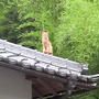 焦らず〜☆☆