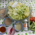 色々野菜の適当浅漬け