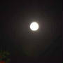 ニコンD3100で撮る満月