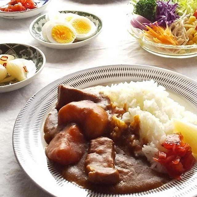 圧力鍋で、ごろっと野菜のなつかしカレーと、テレビ鑑賞中のしじみ♪