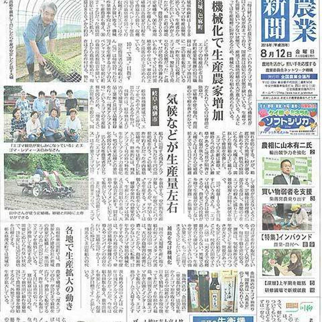 全国農業新聞／国産エゴマ特集