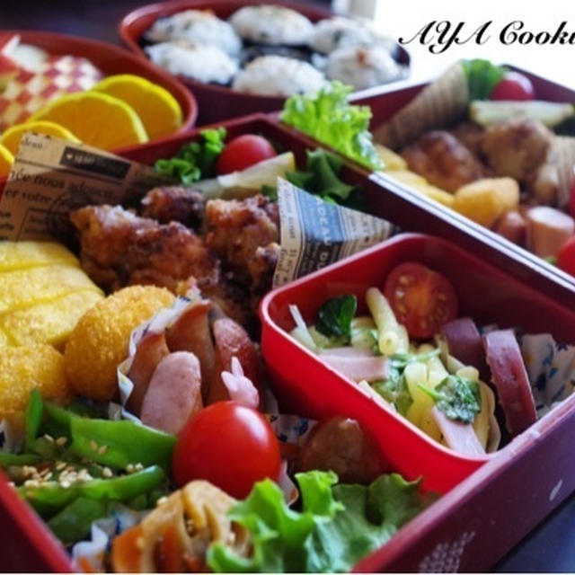 ヒューマン編！お出かけ日記とお弁当