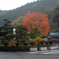 大山の阿夫利神社に登って来ました♪