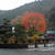 大山の阿夫利神社に登って来ました♪