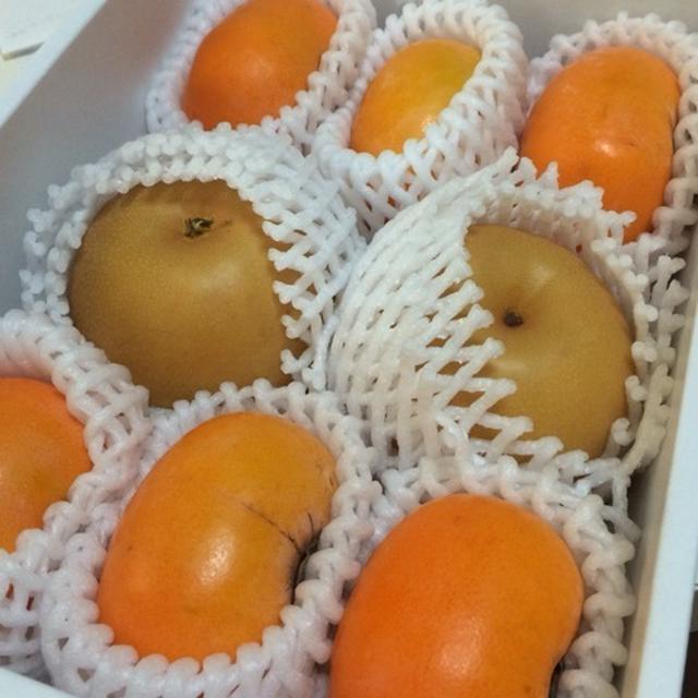 秋の味覚お届け〜♫