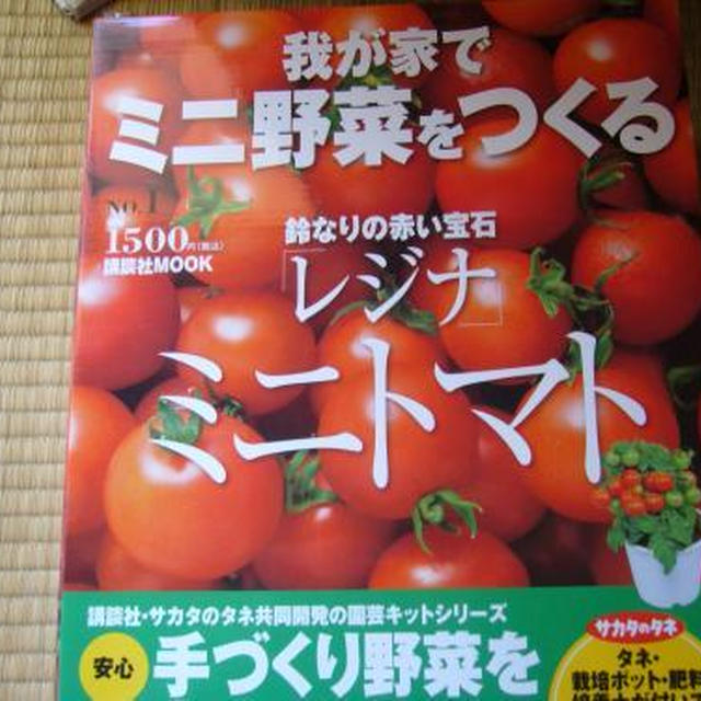 家庭菜園に憧れて～♪