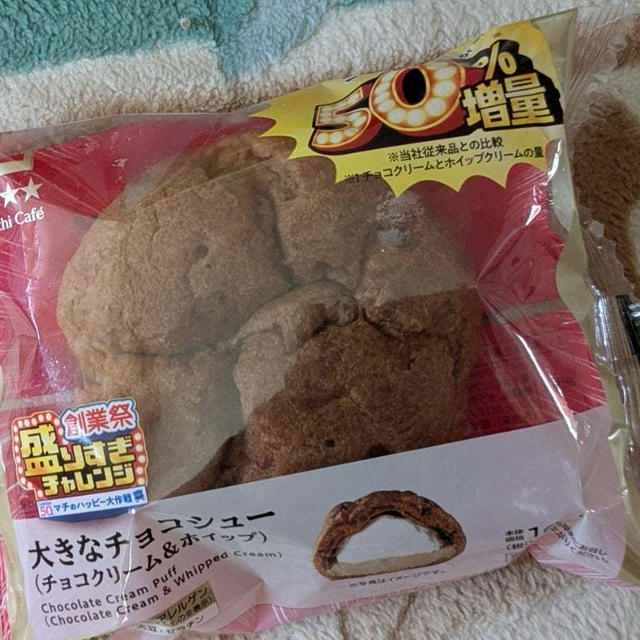 盛りすぎチャレンジ　お得感満載だった大きなチョコシュー