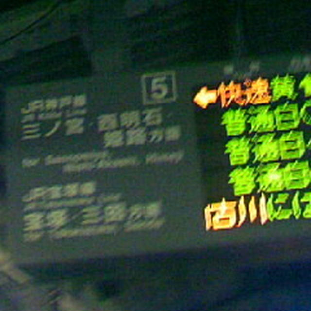 今日は