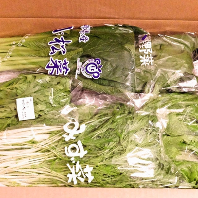 鳥取県大山町の季節の野菜セット