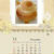早いもので11月。。。