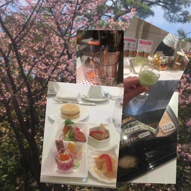 ESSE Spring プレゼンテーション 2015