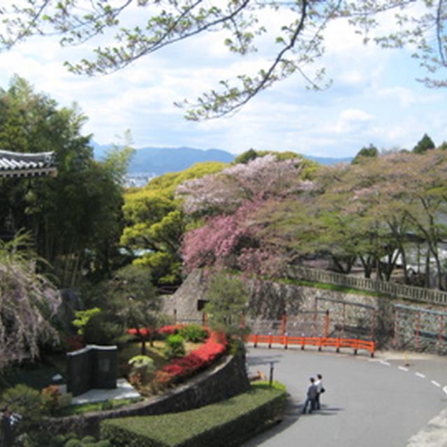 京都旅行☆