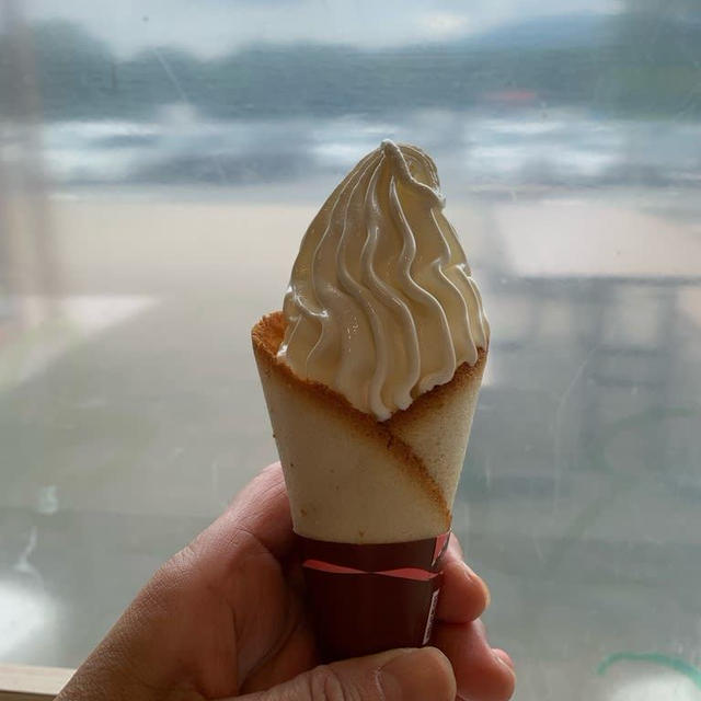 赤城高原SA下りでクレミアソフトクリーム美味しかったです。