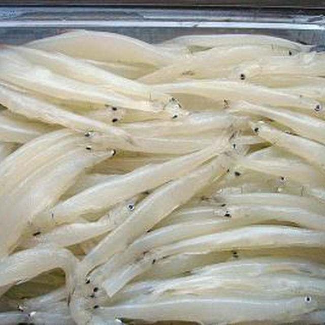 鮭のアクアパッツァ風＆白魚のオイル煮