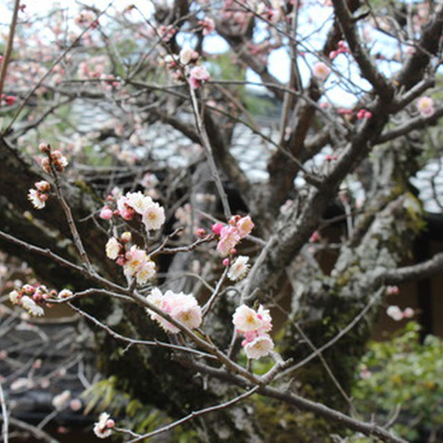 2014 年末のご挨拶