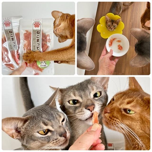 【PR】国産鶏肉使用の無添加おやつ「ねこまって」は待てない美味しさ♪  （追記あり）