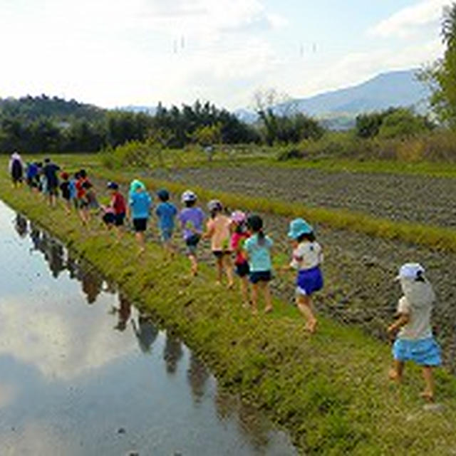 田植え＆オクソーのトップコンテナー