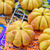 ♡ハロウィンパーティ♡ベーコンチーズのかぼちゃパン♡レシピあり♡