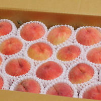 #PR__福島県産あかつき（もも）