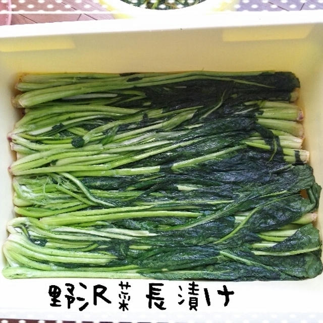 野沢菜漬け