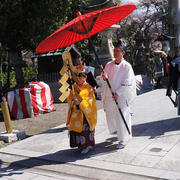 彦根城、海津大崎、長浜・曳山祭り（8）