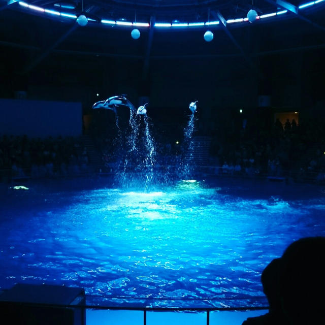 おのぼり東京旅行その①