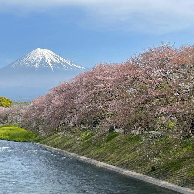 富士山、温泉、グルメな週末の小旅行♪