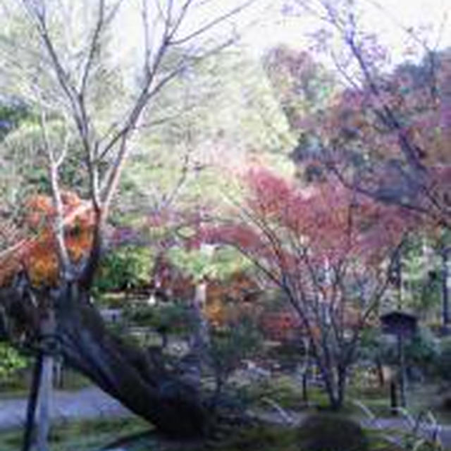 ☆京都・等持院に来ました☆
