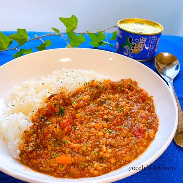 家族の苦手克服サバ缶カレー/掘漁った夜