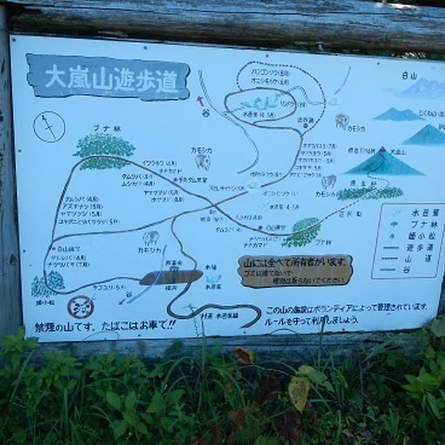 大嵐山