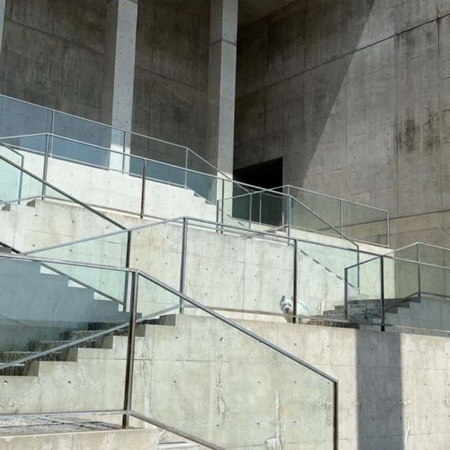 淡路夢舞台✳︎百段苑