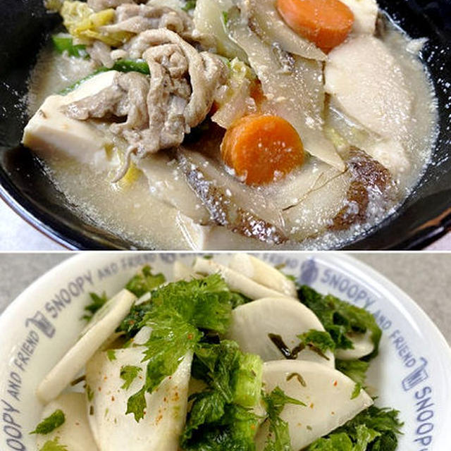 あり合わせ食材で！豆乳豚汁＆カブとわさび菜・メカブの浅漬け♪