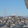 今日は綺麗な富士山が見えました！ / 多分こぼれ種から？