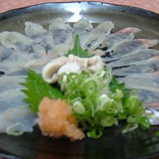 コチの薄作り