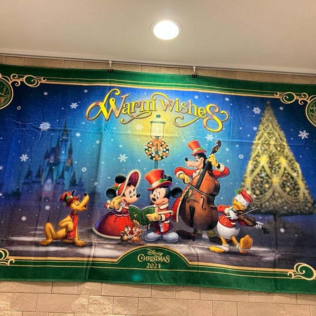 【202311TDR】頼んだのすっかり忘れてたものが到着