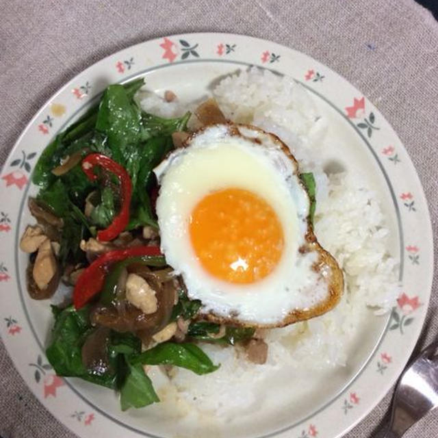来週はエスニック、夏だから、ガパオライス