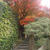 ☆京都の旅：金福寺☆