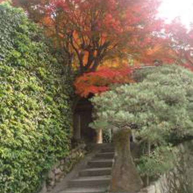 ☆京都の旅：金福寺☆