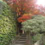 ☆京都の旅：金福寺☆