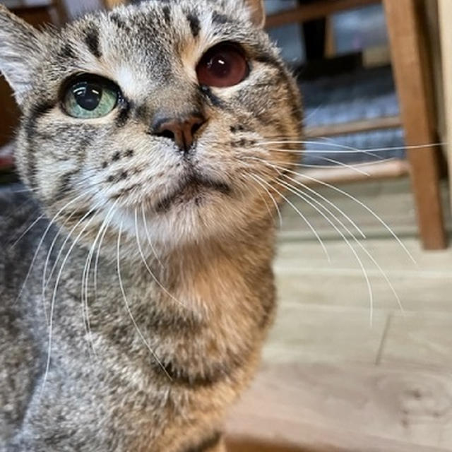 朝からいろいろ