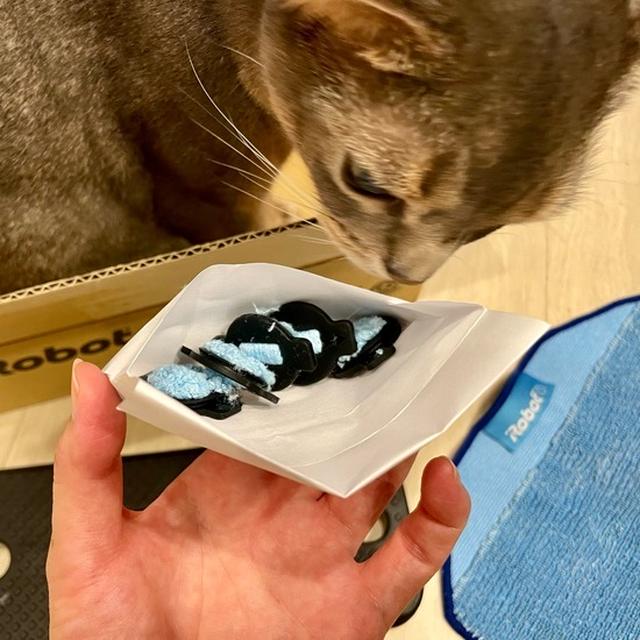 ブラーバの「導水キャップ」を交換したら、水分の出が蘇った。