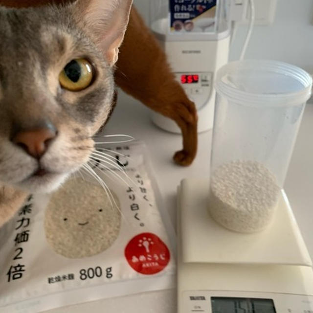 おうちで甘酒づくり♪ 腸活をしてみようと思いまして…