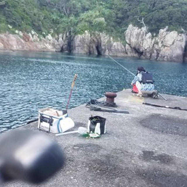 四国遠征2nd。⑤ 鵜来島で釣り。