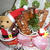 ★おしゃべりクッキング・クリスマスケーキ