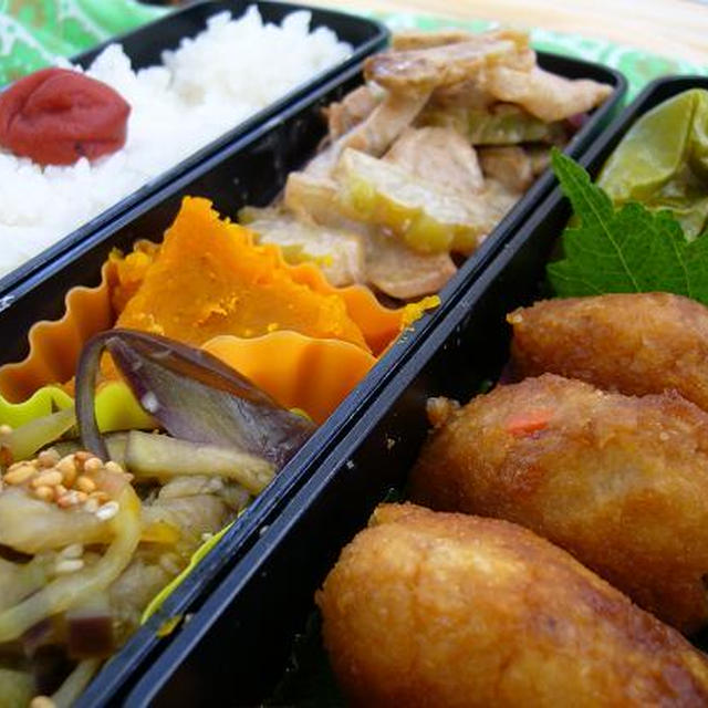 蓮根とおからのハンバーグ弁当～☆